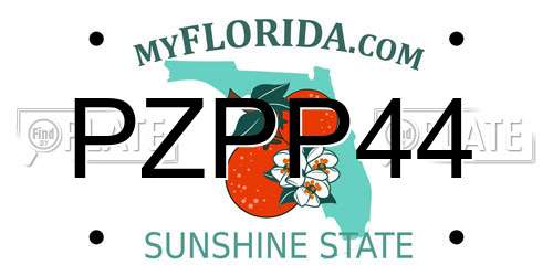 PZPP44 Florida License Plate