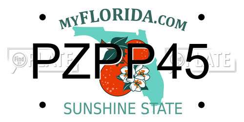 PZPP45 Florida License Plate