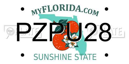 PZPU28 Florida License Plate