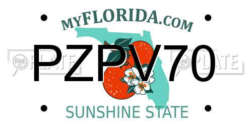 PZPV70 Florida License Plate