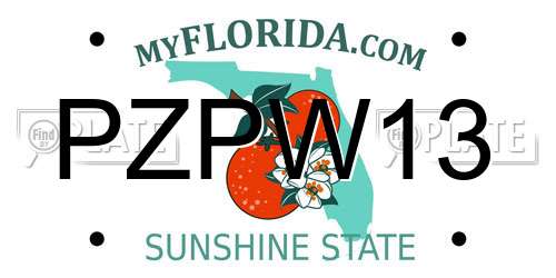 PZPW13 Florida License Plate