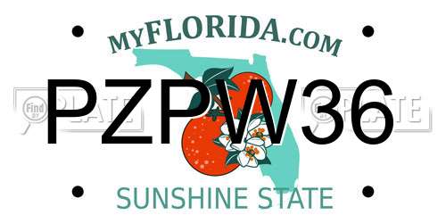 PZPW36 Florida License Plate