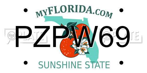 PZPW69 Florida License Plate