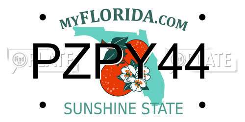 PZPY44 Florida License Plate