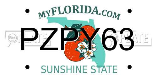PZPY63 Florida License Plate
