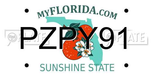 PZPY91 Florida License Plate
