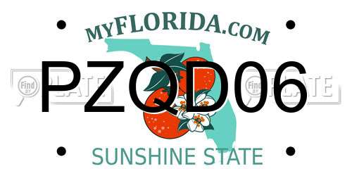 PZQD06 Florida License Plate