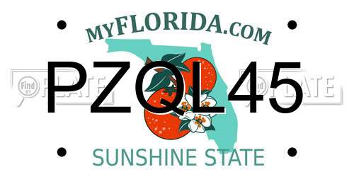 PZQL45 Florida License Plate