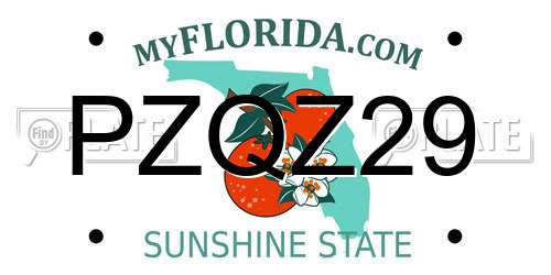 PZQZ29 Florida License Plate