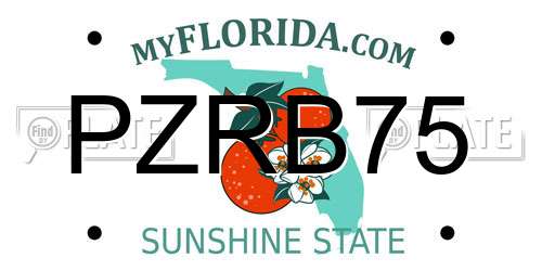 PZRB75 Florida License Plate