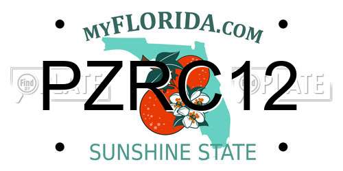 PZRC12 Florida License Plate