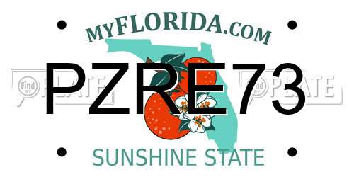 PZRE73 Florida License Plate