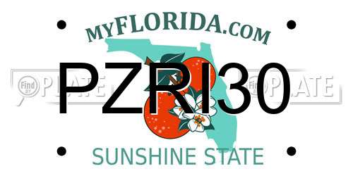 PZRI30 Florida License Plate