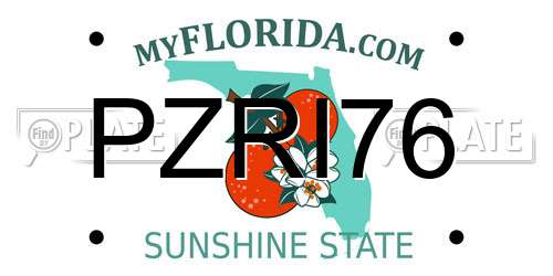 PZRI76 Florida License Plate