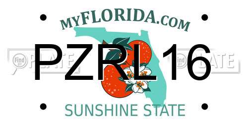 PZRL16 Florida License Plate