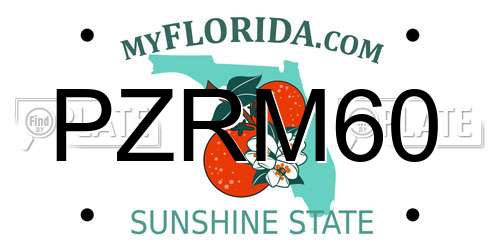 PZRM60 Florida License Plate