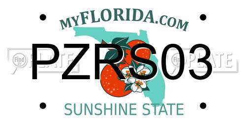 PZRS03 Florida License Plate