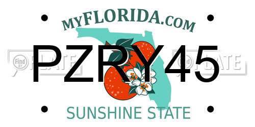 PZRY45 Florida License Plate