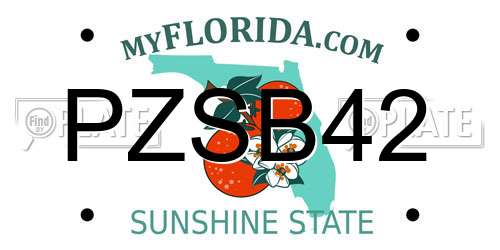 PZSB42 Florida License Plate