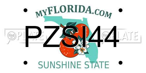 PZSI44 Florida License Plate