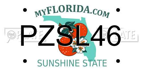 PZSL46 Florida License Plate