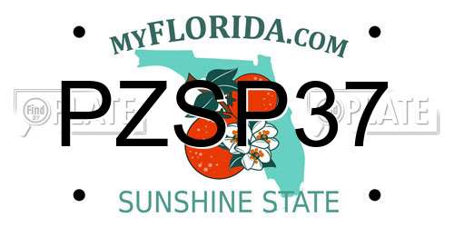PZSP37 Florida License Plate