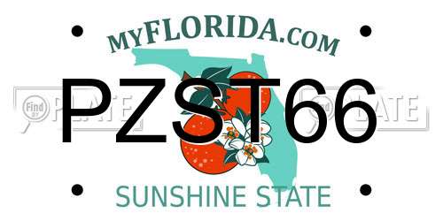 PZST66 Florida License Plate