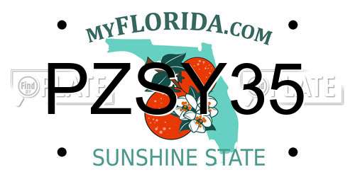 PZSY35 Florida License Plate