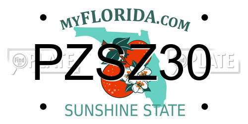 PZSZ30 Florida License Plate