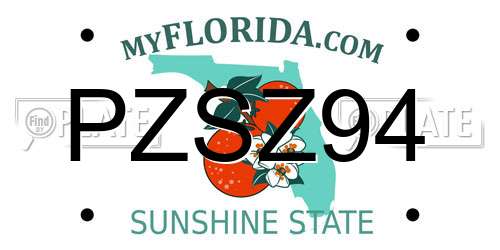 PZSZ94 Florida License Plate