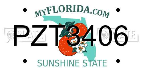 PZT3406 Florida License Plate