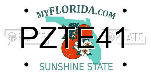 PZTE41 Florida License Plate