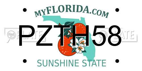 PZTH58 Florida License Plate