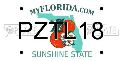 PZTL18 Florida License Plate