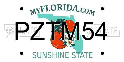 PZTM54 Florida License Plate