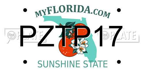 PZTP17 Florida License Plate