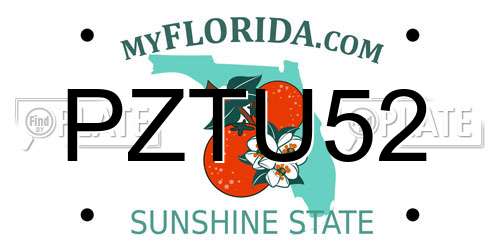 PZTU52 Florida License Plate