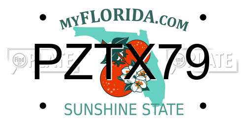 PZTX79 Florida License Plate