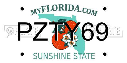 PZTY69 Florida License Plate