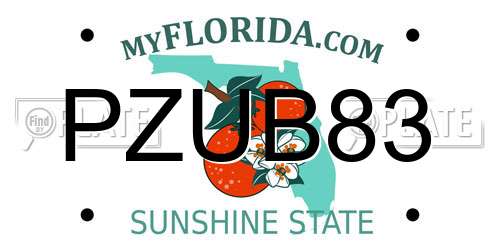 PZUB83 Florida License Plate