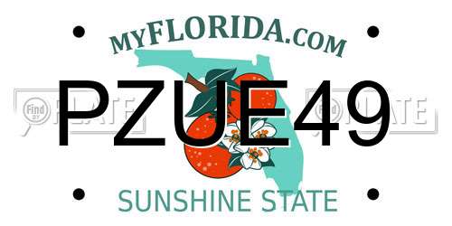 PZUE49 Florida License Plate