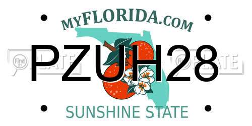 PZUH28 Florida License Plate
