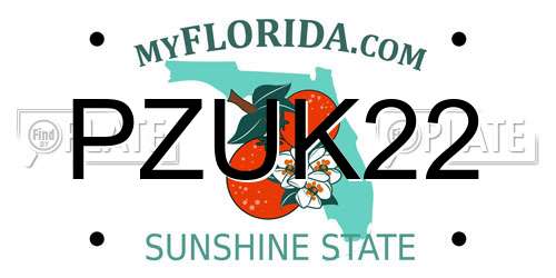 PZUK22 Florida License Plate
