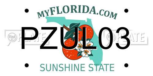 PZUL03 Florida License Plate