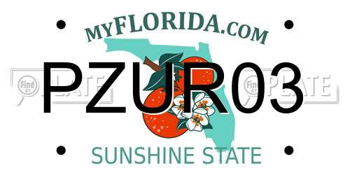 PZUR03 Florida License Plate