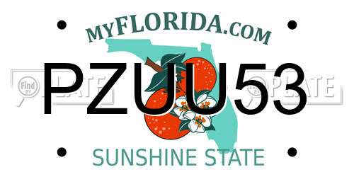 PZUU53 Florida License Plate