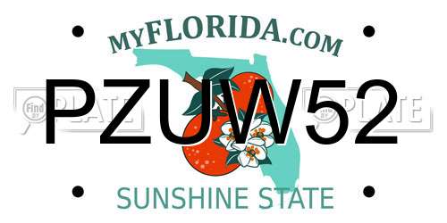 PZUW52 Florida License Plate