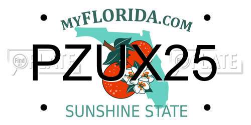 PZUX25 Florida License Plate