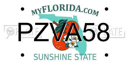 PZVA58 Florida License Plate