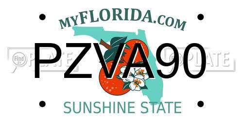 PZVA90 Florida License Plate